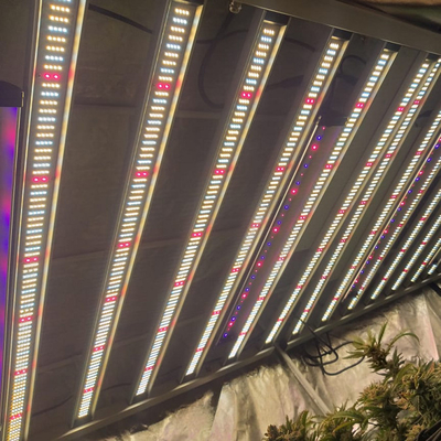 O diodo emissor de luz da horticultura de RedFarm 1500W cresce Samsung claro LM301H Osram 660nm 730nm