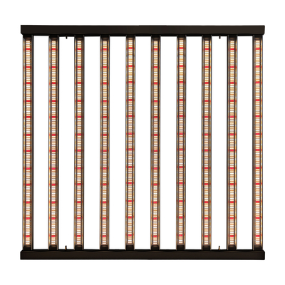 o diodo emissor de luz da horticultura de 1200W 10Bars Samsung LM301H cresce o crescimento interno claro