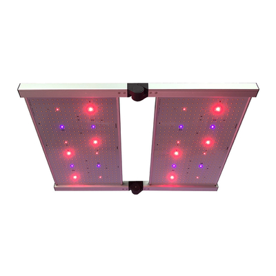 O diodo emissor de luz da placa do quantum de RedFarm 480W 3500K cresce luzes Samsung LM301H