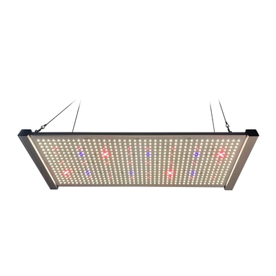o diodo emissor de luz da placa do quantum 320W cresce o espectro completo SEOUL 395nm UV das luzes